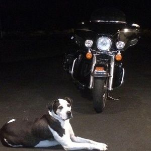 Meet your Posher, Perry